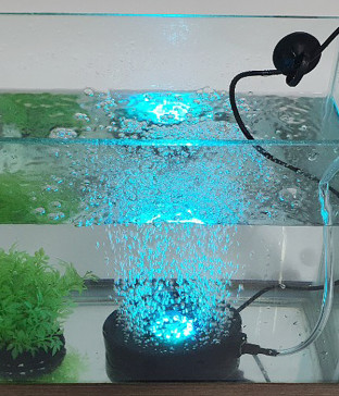 LED 수족관 기포등[RGB/백색+청색]